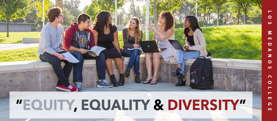 LMC_equity_equality_diversity